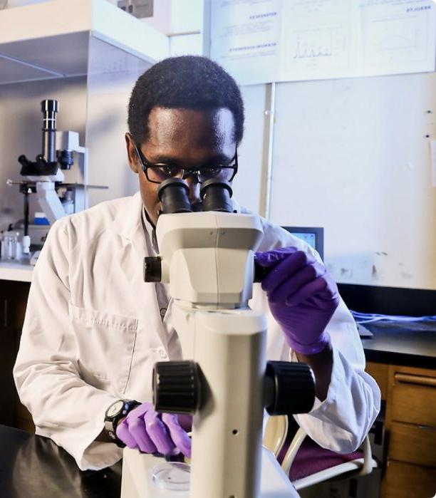 Student using microscope